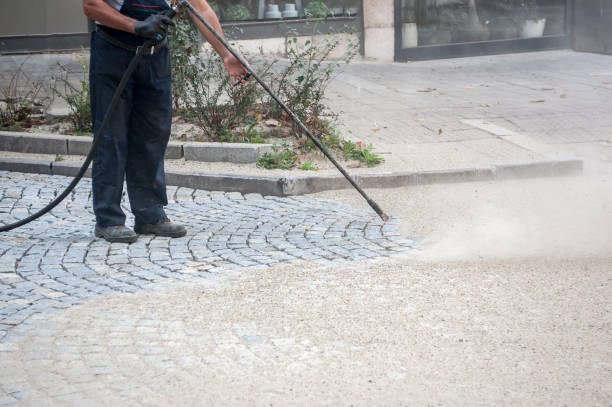 Professional Pressure Washing in Janesville, IA